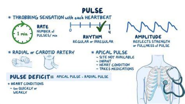 Is pulse rate a quantitative variable?