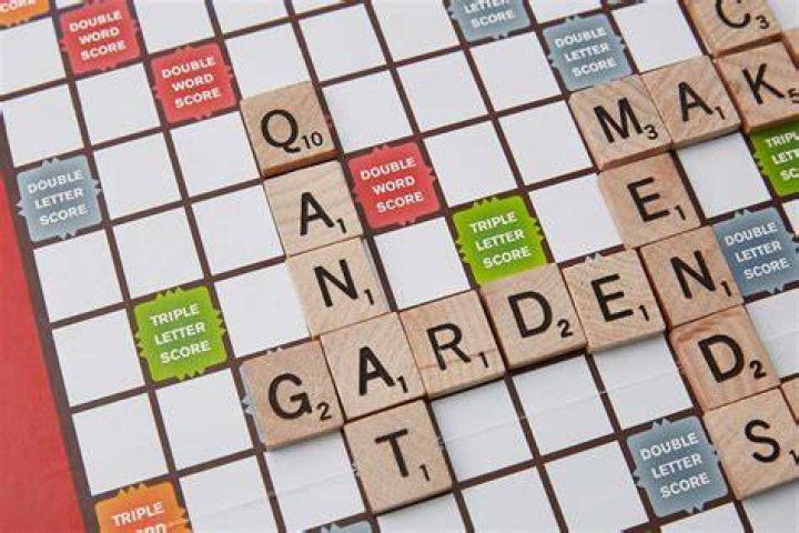 Is QA a scrabble word?