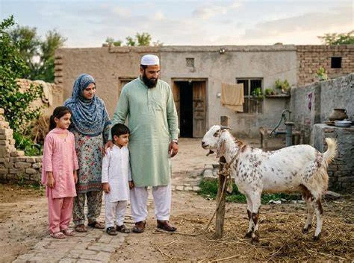 Is Qurbani compulsory every year?