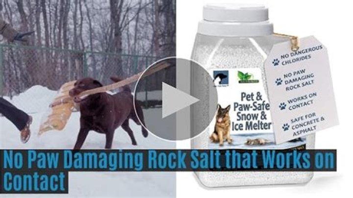Is salt OK for dogs?