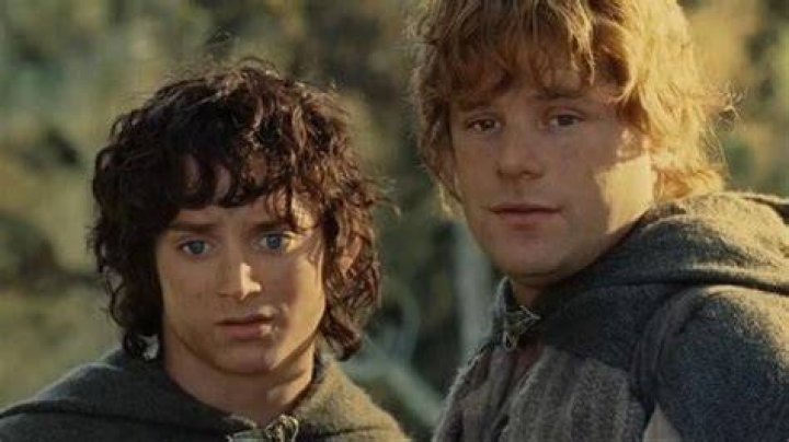 Is Sam in love with Frodo?