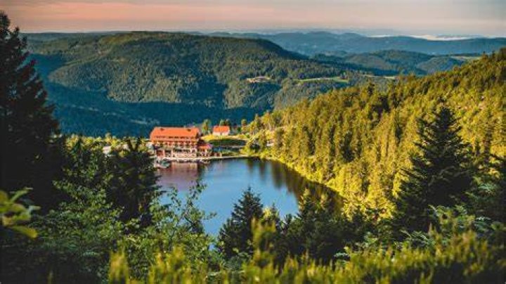 Is the Black Forest near Berlin?