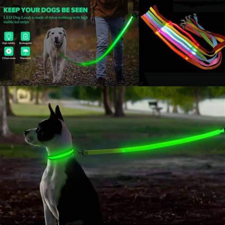 Should I keep a light on for my puppy?