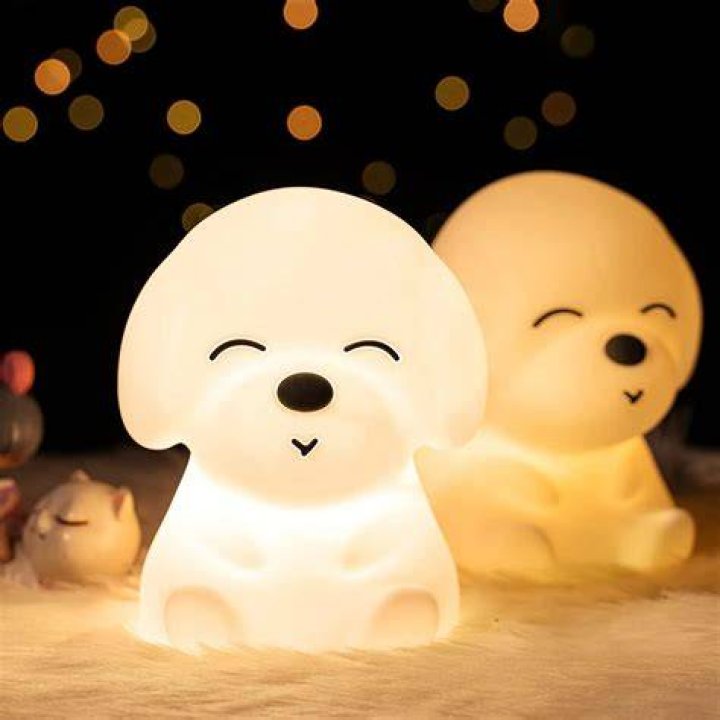 Should I leave a light on at night for my dog?