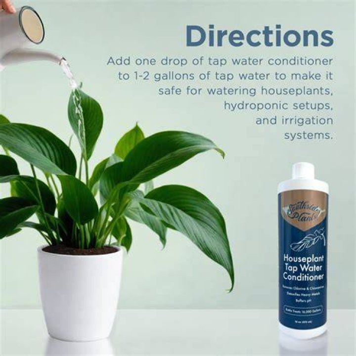 Should I use tap water for plants?