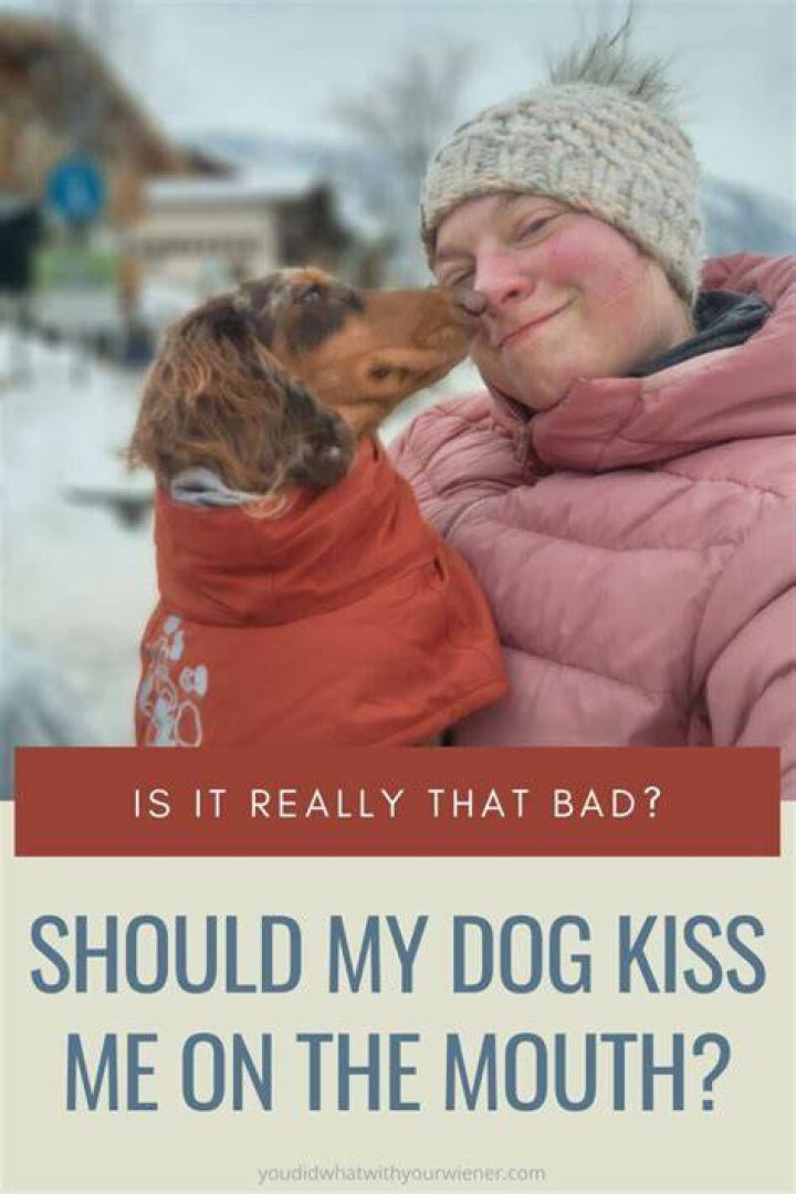 Should you let your dog kiss you?