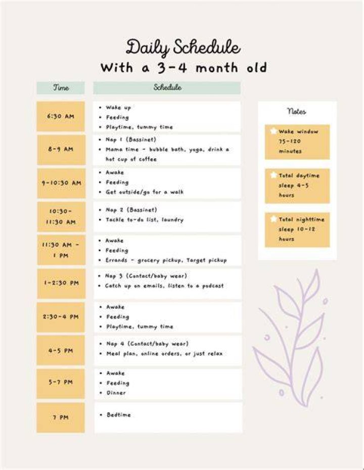 What's a good schedule for a 3 month old?