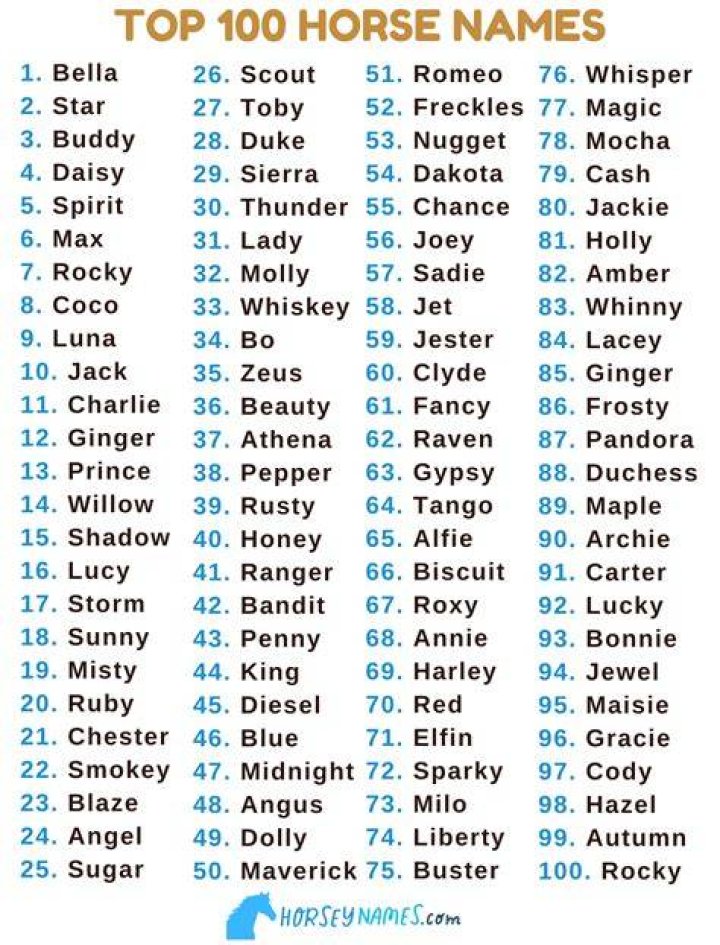 What's the best horse name?
