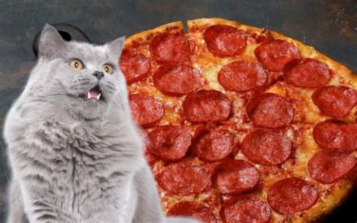 What animal is pepperoni?