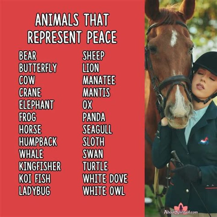 What animal represents loneliness?