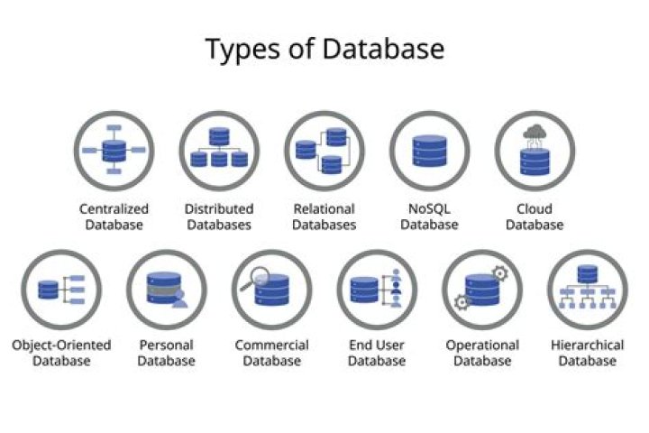 What are data types in database?