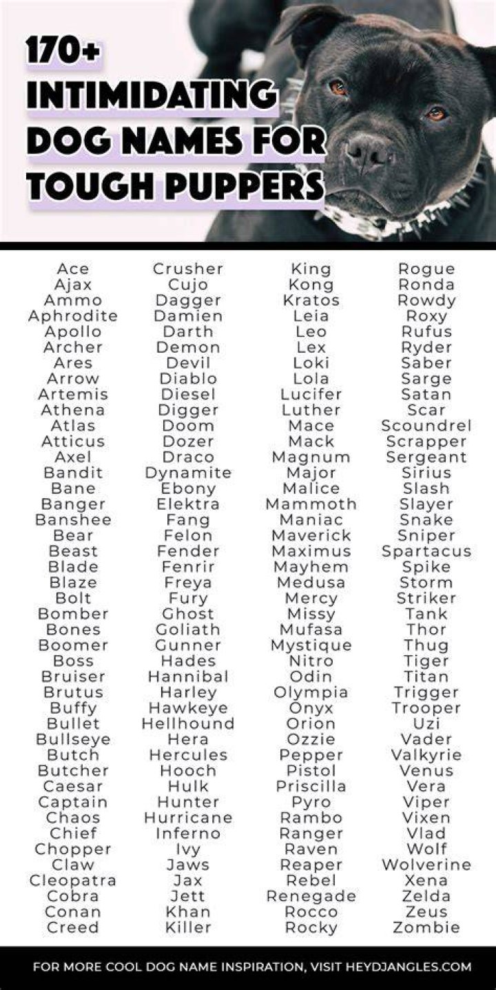 What are intimidating dog names?
