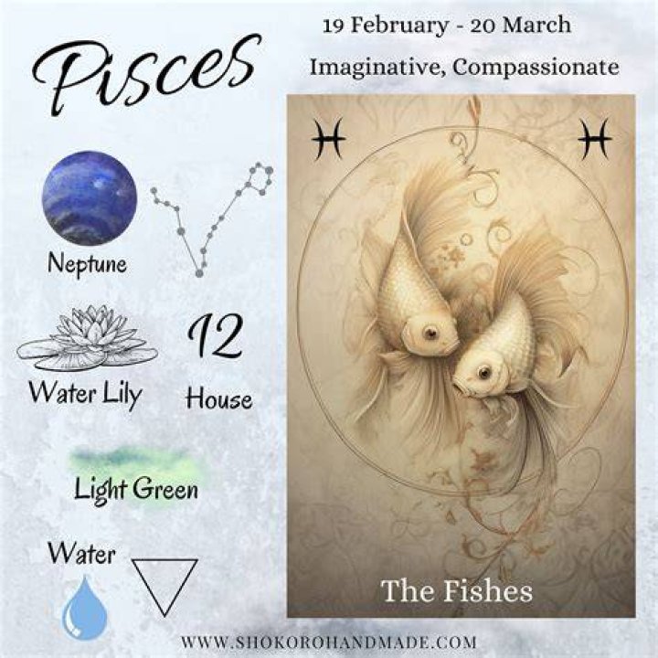 What are Pisces good at doing?