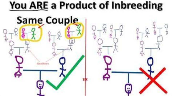 What are signs of inbreeding?