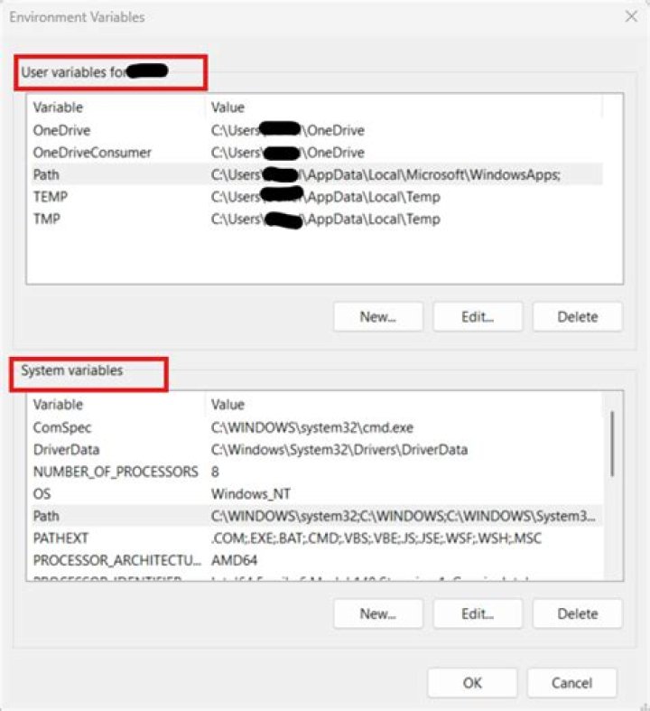 What are system variables in Windows?