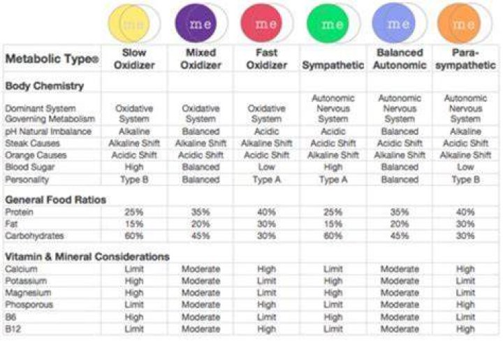 What are the 3 metabolic types?