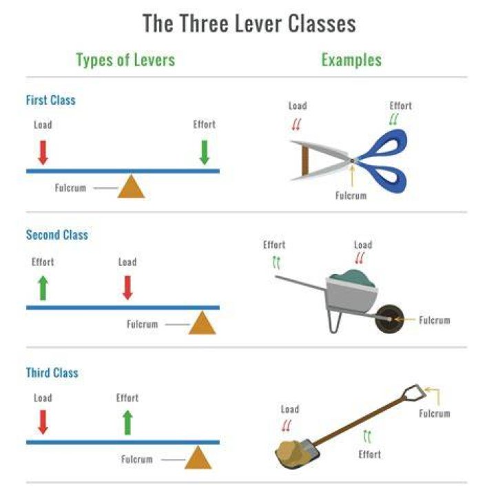 What are the 3 types of military?