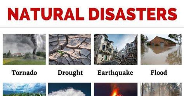 What are the 5 types of disasters?