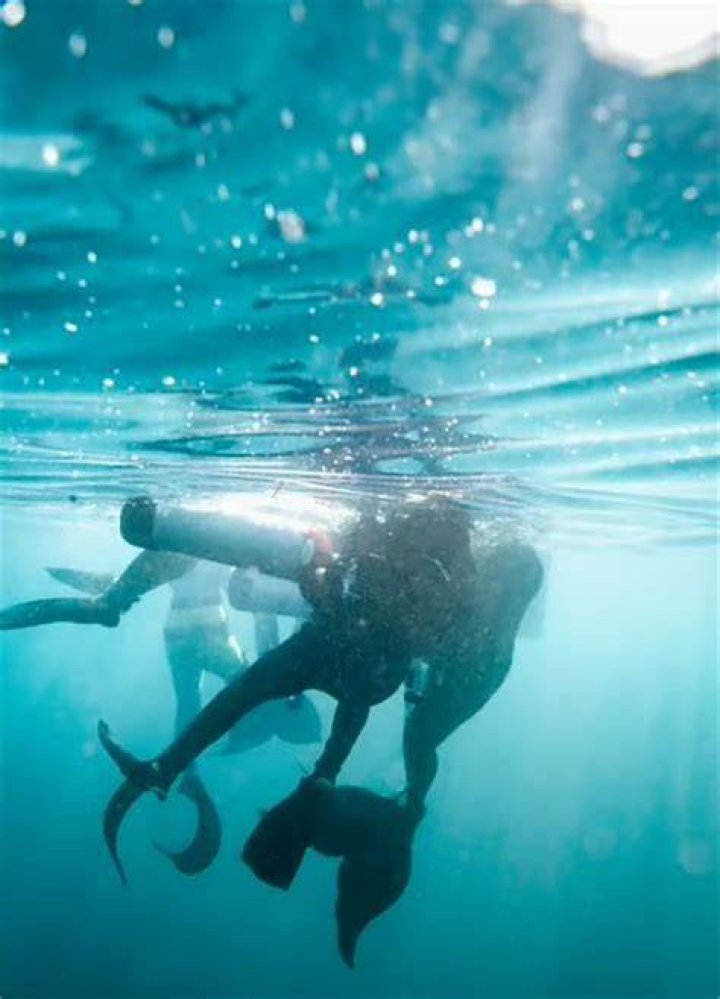 What are the chances of dying while scuba diving?