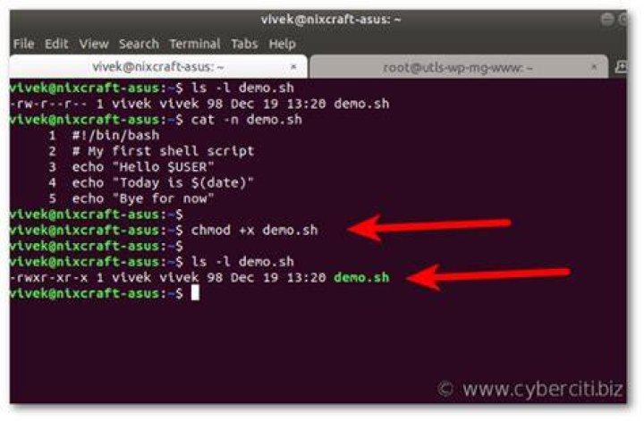 What are the different methods used to execute a shell script?