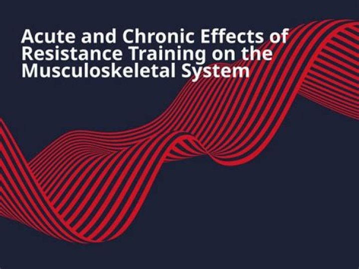 What are the effects of resistance training on the muscular and skeletal systems?