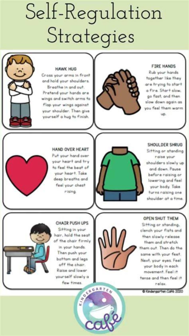 What are the four self-regulation strategies?