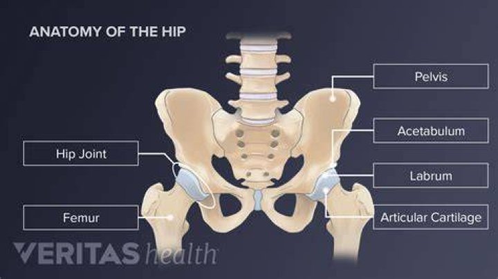What are the hip lines on a guy called?