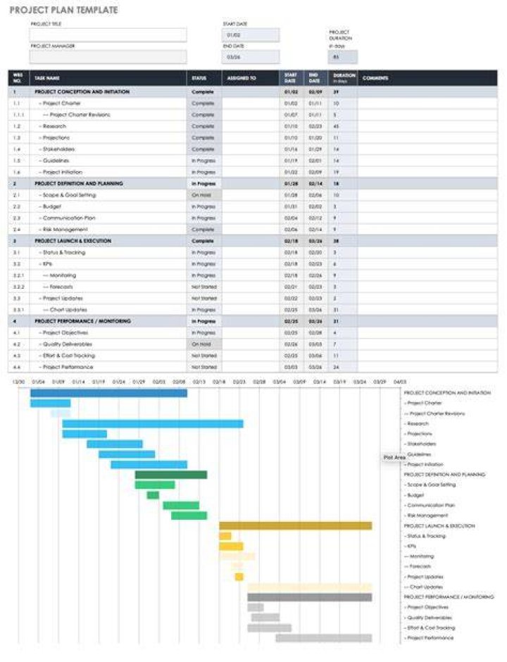 What are types of project plan?
