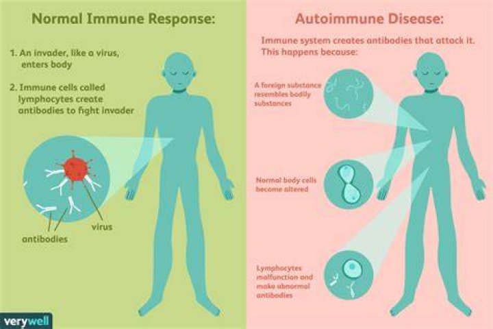 What autoimmune disease causes low neutrophils?