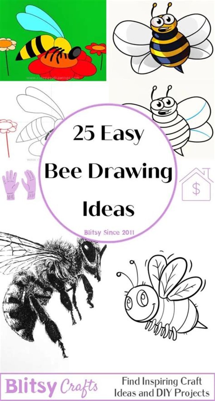 What can a 2 year old draw?