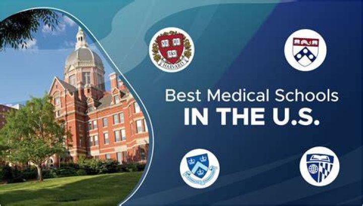 What can I DO instead of medical school?