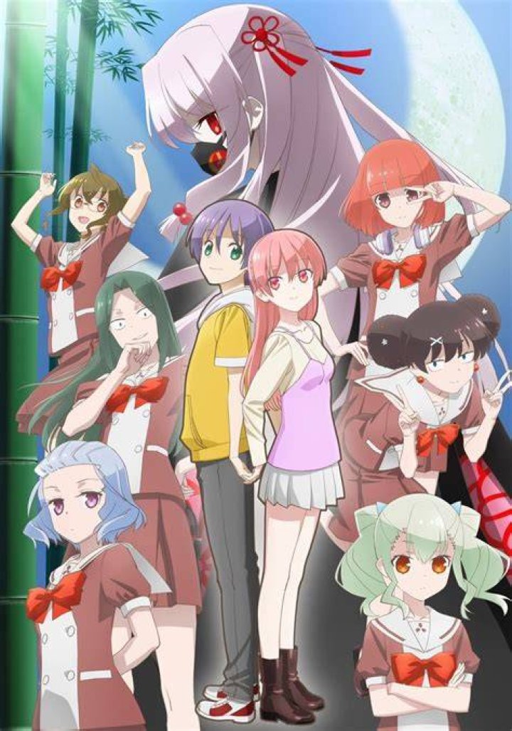 What can I watch Tonikawa on?