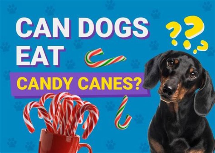 What candy can dogs eat?