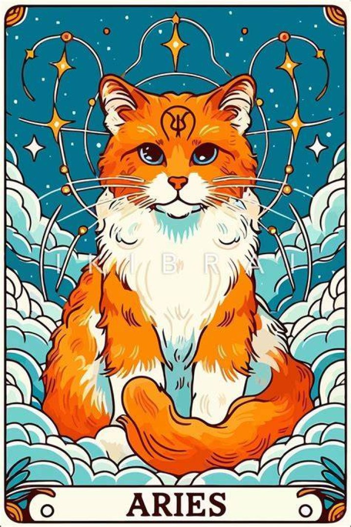 What cat is Capricorn?