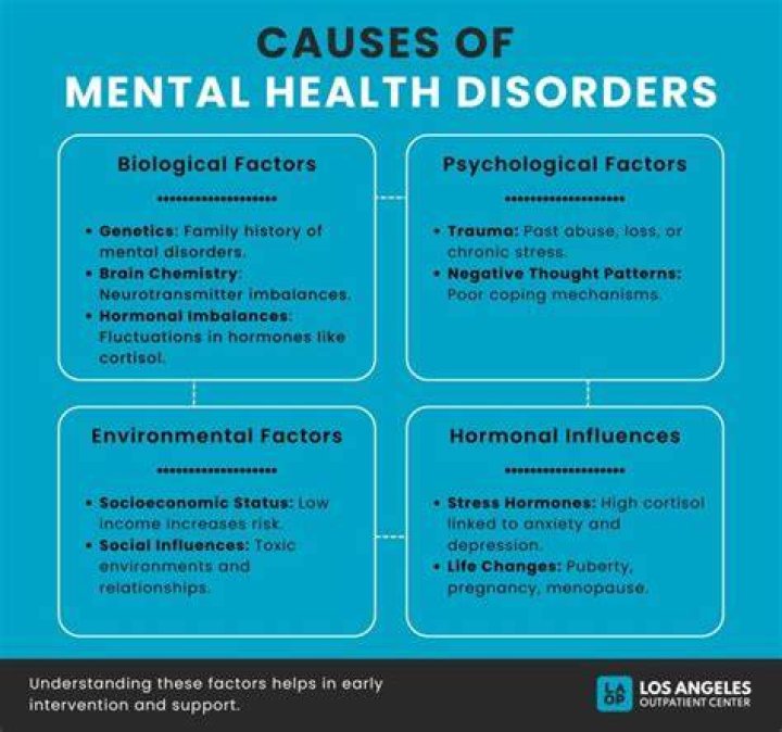 What causes mental illness?