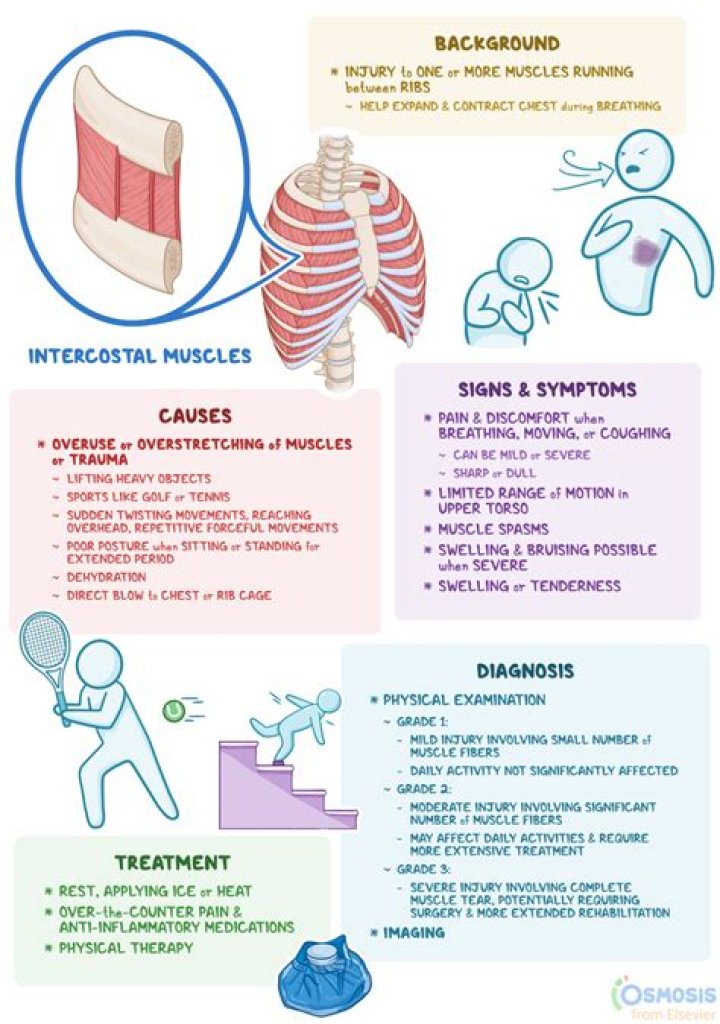 What causes pulled muscles in stomach?