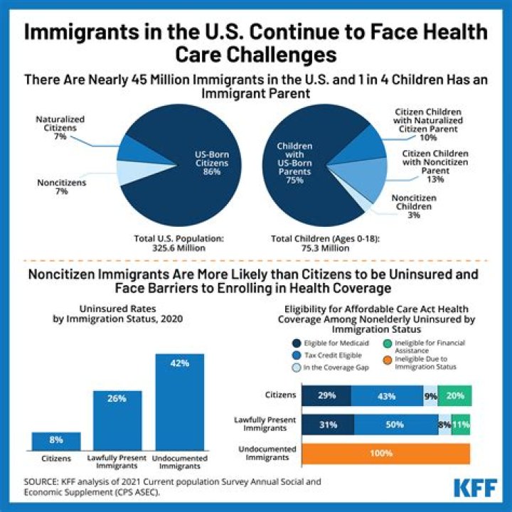 What challenges do children of immigrants face in a new country?