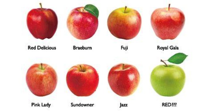 What color are apples?