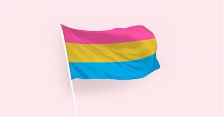 What color represents pansexual?