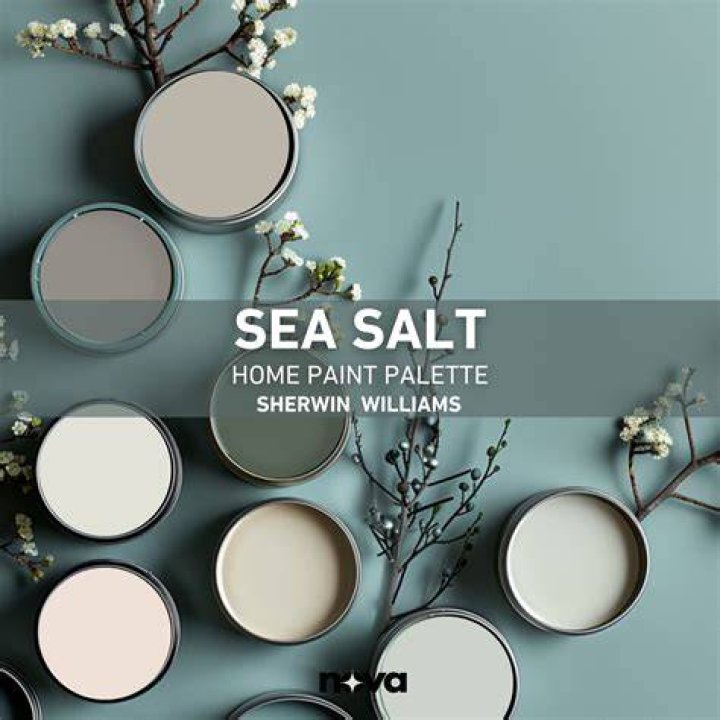 What colors look good with Sherwin Williams sea salt?