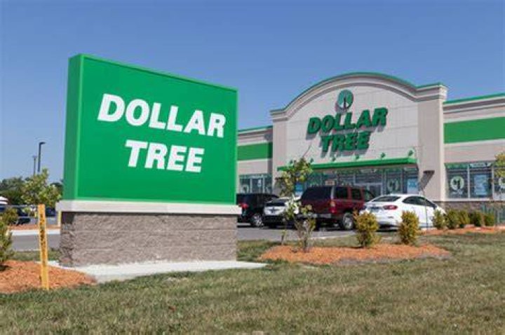 What companies does Dollar Tree own?