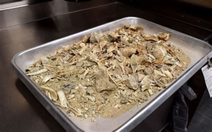 What cremated body smell like?