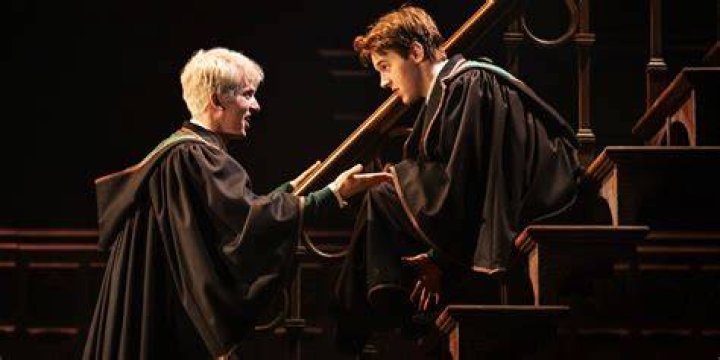 What did Harry and Albus do at the end of the play?