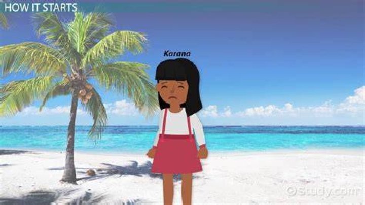 What did Karana make in Chapter 12?