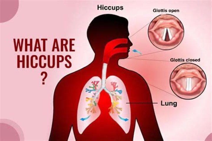 What do hiccups in the womb feel like?