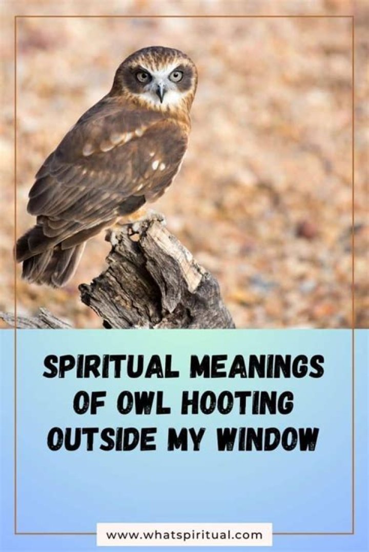 What does an owl outside your window mean?