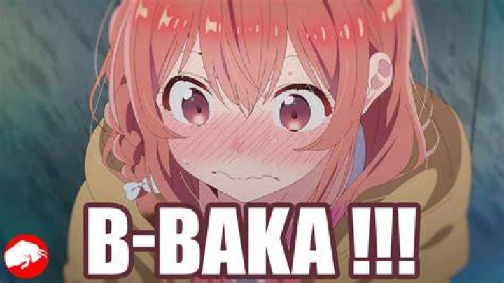 What does baka da yo mean?