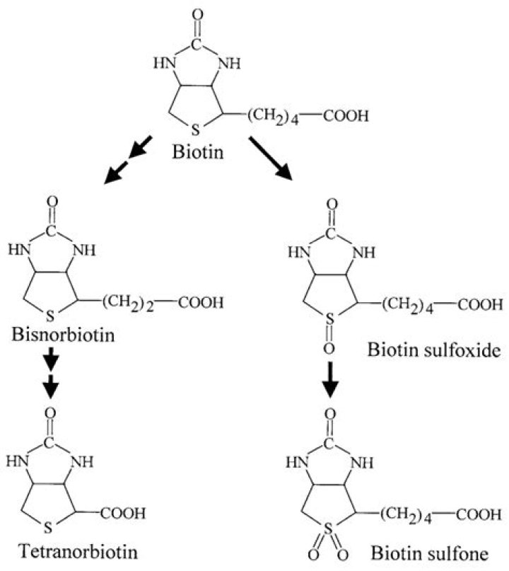 What does biotin do for cellulite?