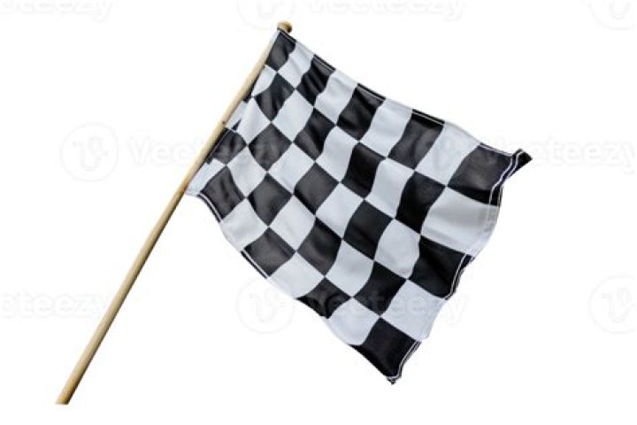 What does black and white checkered flag mean?