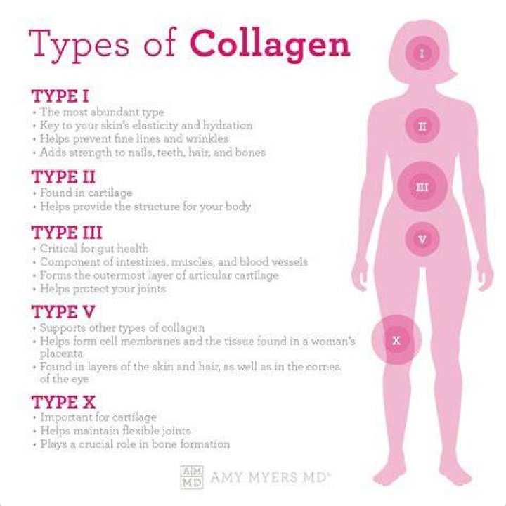 What does collagen do for a woman's body?